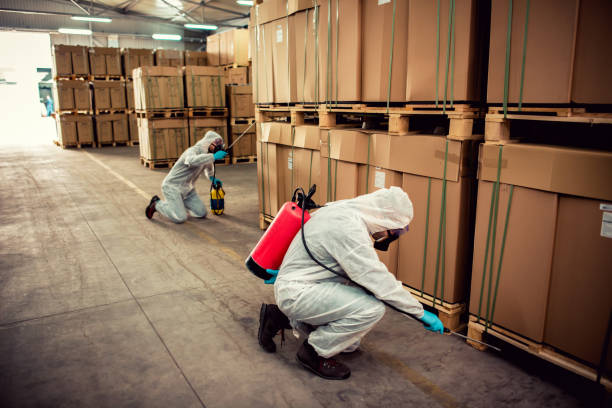  Sterling City, TX Pest Control Pros