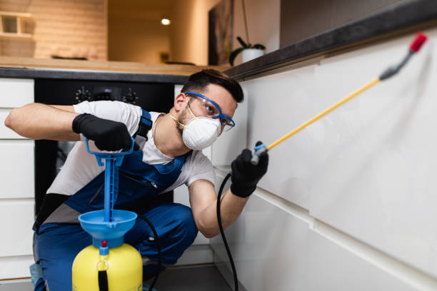 Best Best Pest Control Companies  in Sterling City, TX