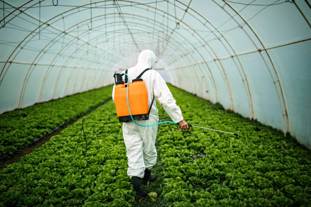 Best Local Pest Control Services  in Sterling City, TX