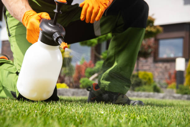 Reliable Sterling City, TX Pest Control Solutions