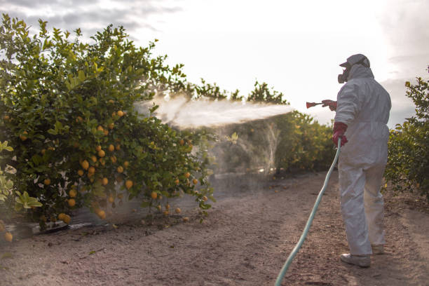 Best Residential Pest Control  in Sterling City, TX