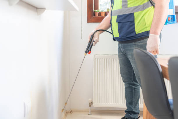 Best Wasp Removal Services  in Sterling City, TX