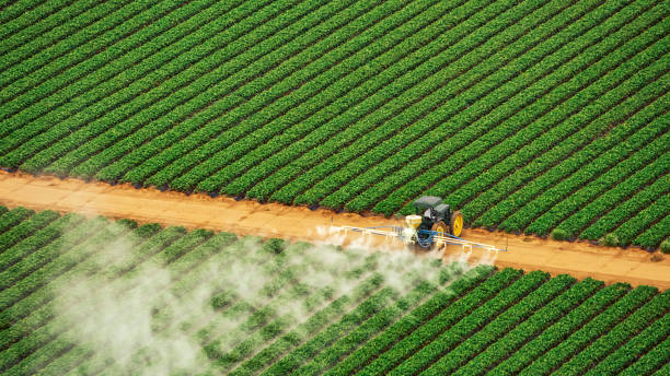 Best Termite Control Services  in Sterling City, TX