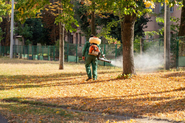 Best Rodent Control Near Me  in Sterling City, TX