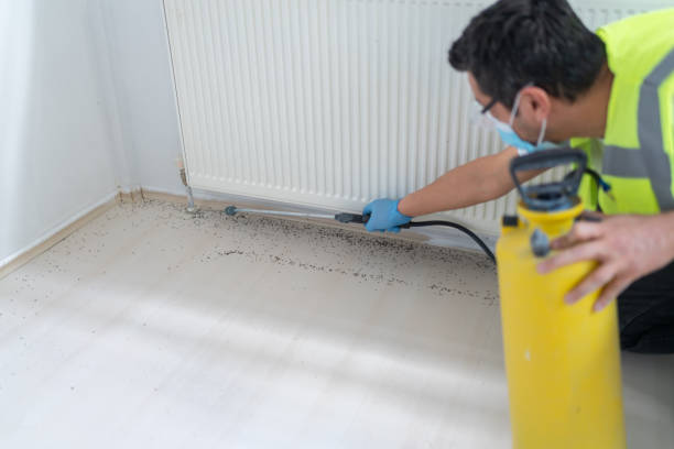 Best Pest Control Near Me in Sterling City, TX