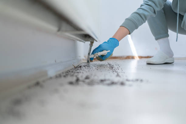 Best Pest Control Near Me  in Sterling City, TX