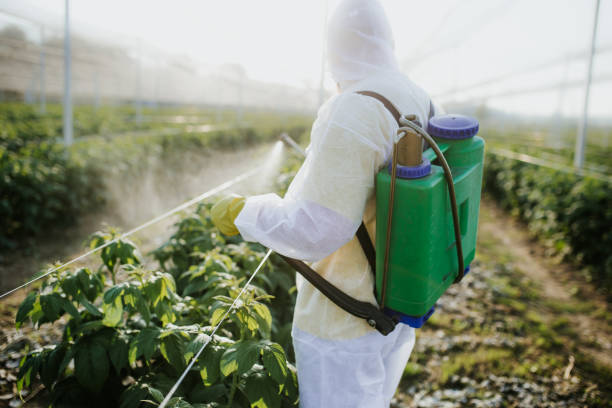 Best Mosquito Control Services  in Sterling City, TX